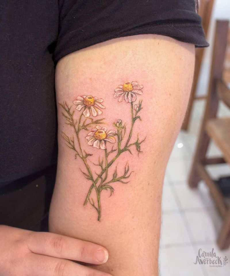 30 Pretty Chamomile Tattoos You Shouldn't Miss