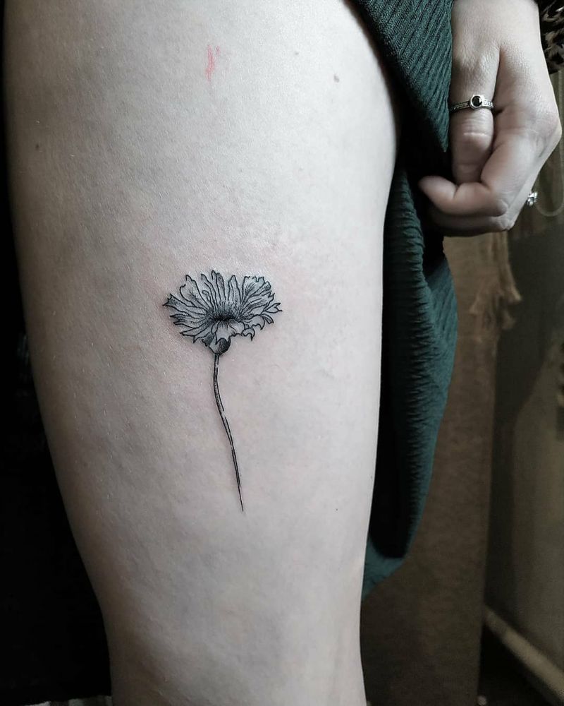 30 Pretty Cornflower Tattoos to Inspire You