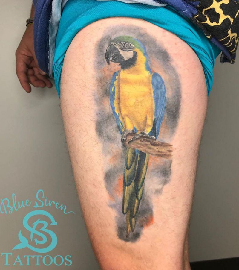 30 Pretty Macaw Tattoos Bring You Happiness