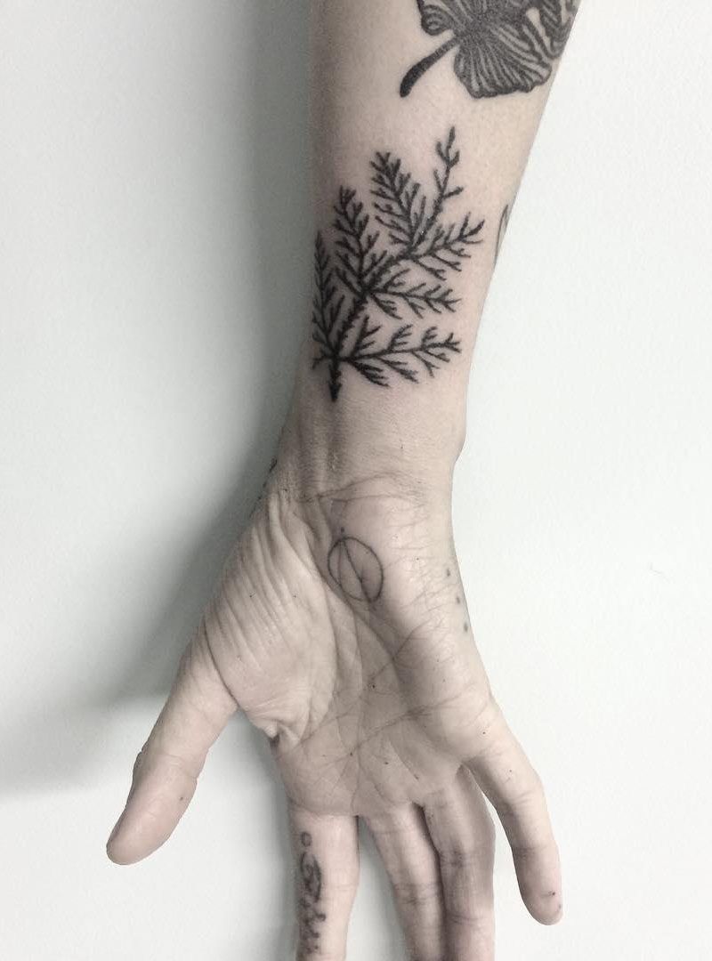 30 Pretty Cedar Tattoos You Will Love