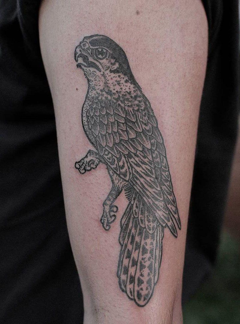 30 Pretty Falcon Tattoos Make You Elegant