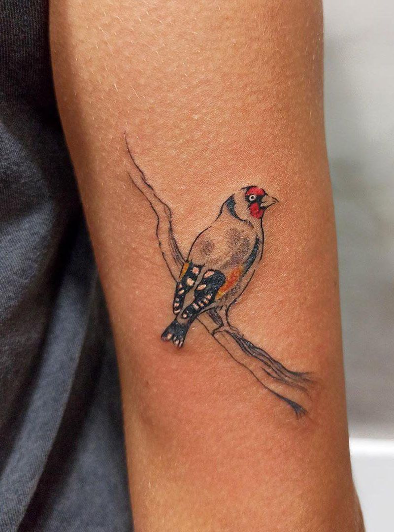 30 Pretty Goldfinch Tattoos to Inspire You