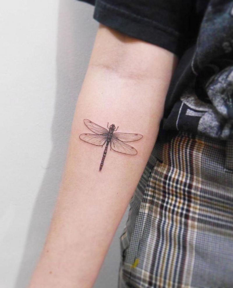 30 Pretty Dragonfly Tattoos You Will Love