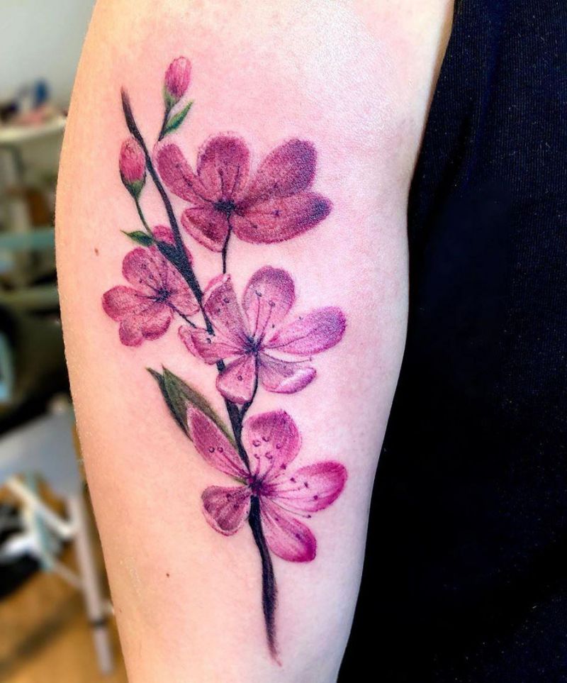 30 Pretty Cherry Blossom Tattoos Make You Charming