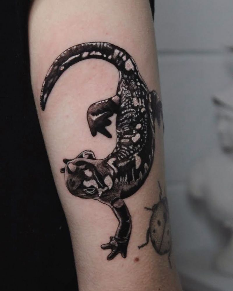 30 Pretty Salamander Tattoos to Inspire You