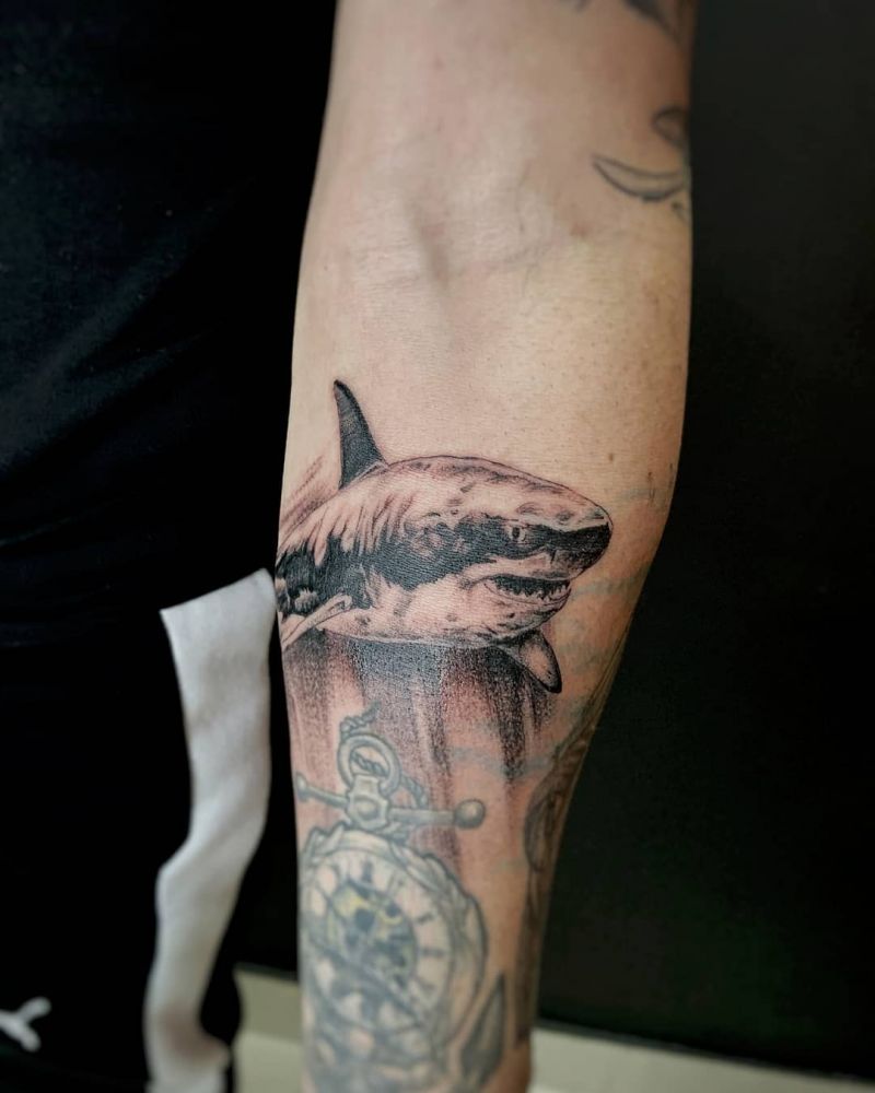 30 Pretty Shark Tattoos Enhance Your Personality