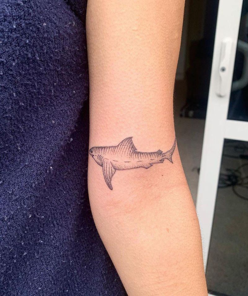 30 Pretty Shark Tattoos Enhance Your Personality