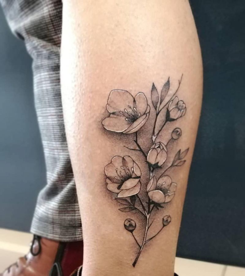 30 Pretty Cherry Blossom Tattoos Make You Charming