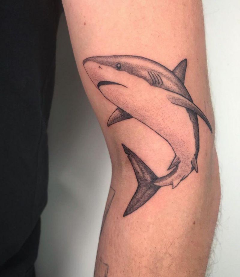 30 Pretty Shark Tattoos Enhance Your Personality