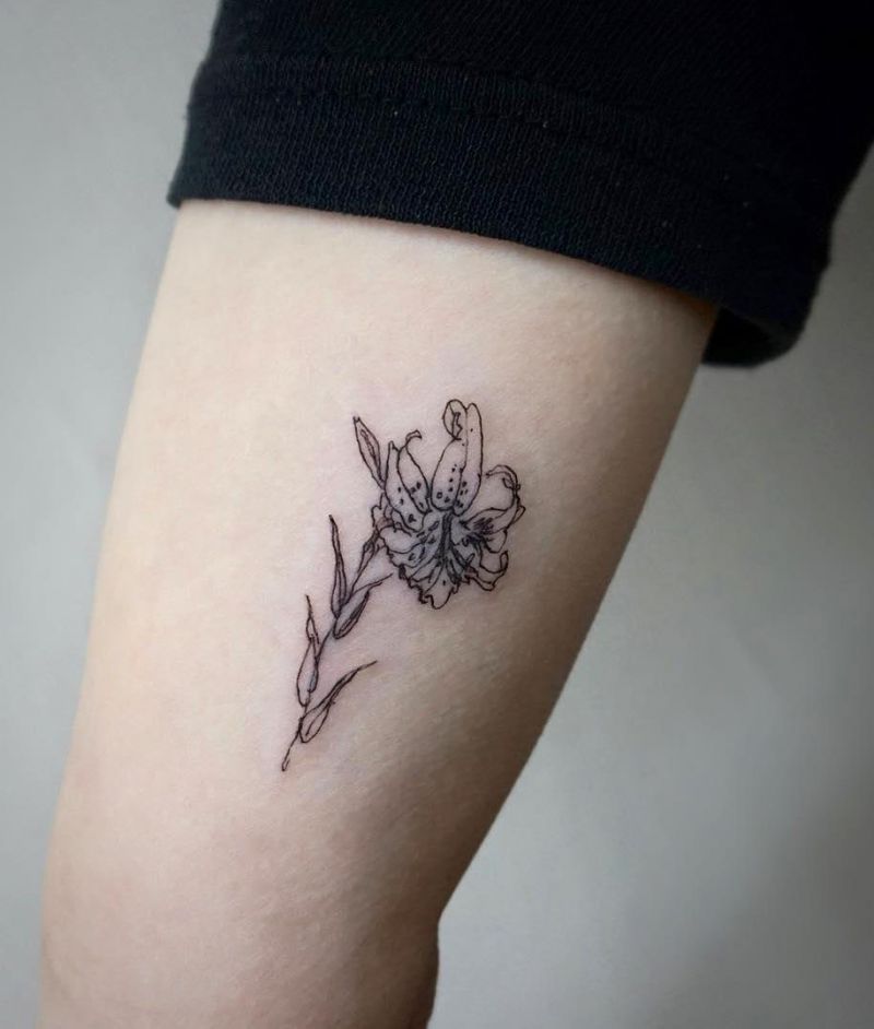 30 Pretty Daylily Tattoos Show Your Temperament