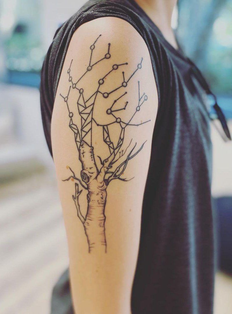 30 Pretty Birch Tree Tattoos Make You Attractive