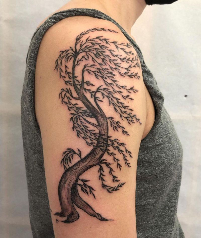 30 Pretty Weeping Willow Tattoos You Must Try