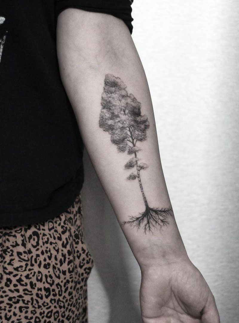 30 Pretty Birch Tree Tattoos Make You Attractive