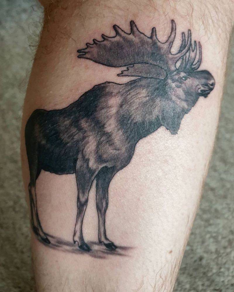 30 Pretty Moose Tattoos You Will Love