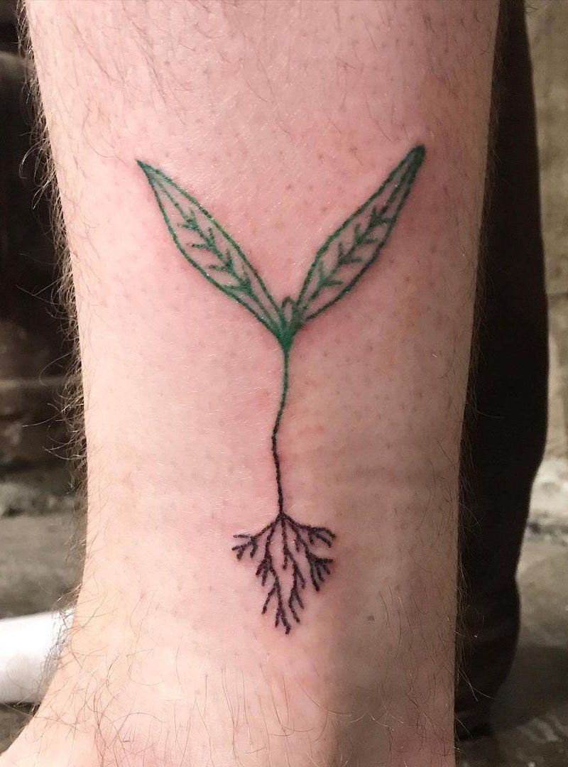 30 Pretty Seed Sprout Tattoos Bring You Good Luck