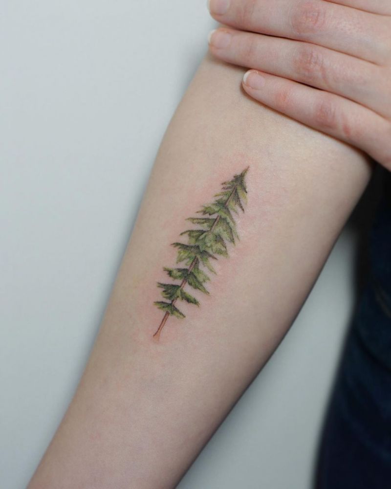 30 Pretty Pine Tree Tattoos You Will Love