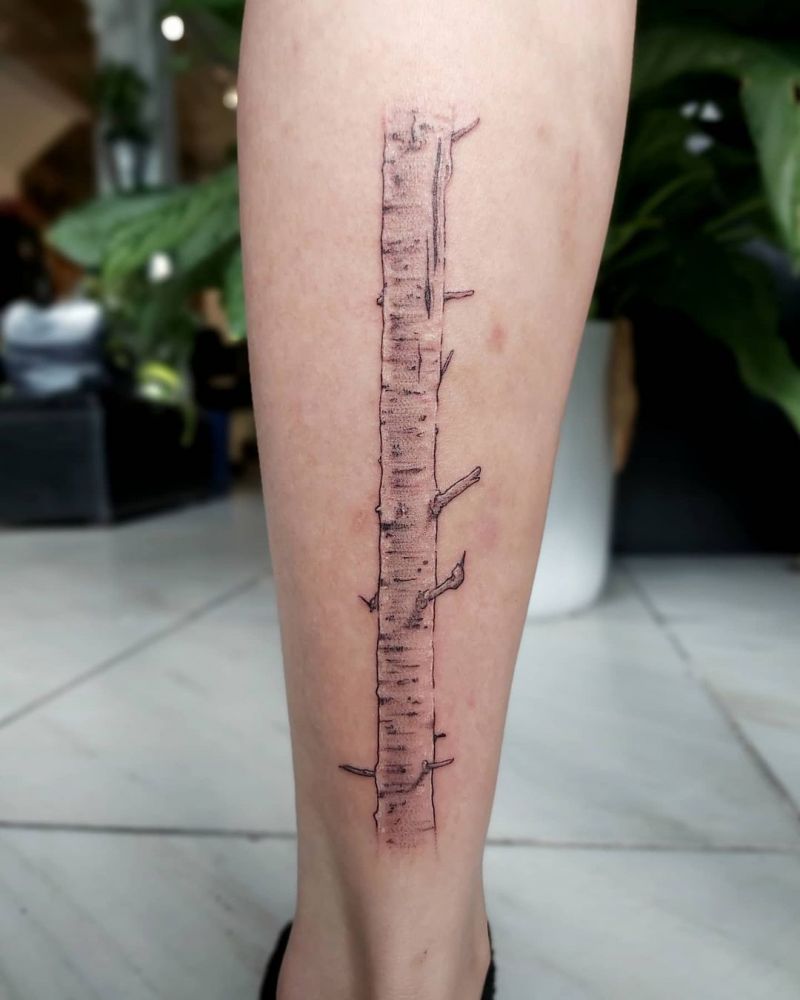 30 Pretty Birch Tree Tattoos Make You Attractive