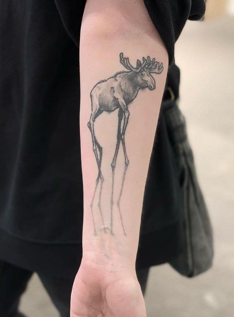 30 Pretty Moose Tattoos You Will Love