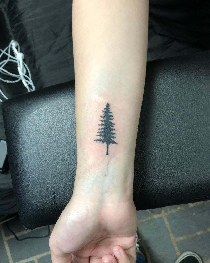 30 Pretty Pine Tree Tattoos You Will Love