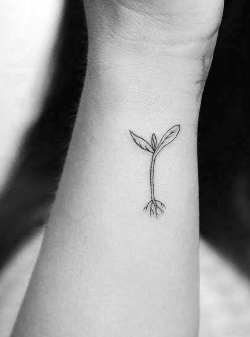 30 Pretty Seed Sprout Tattoos Bring You Good Luck