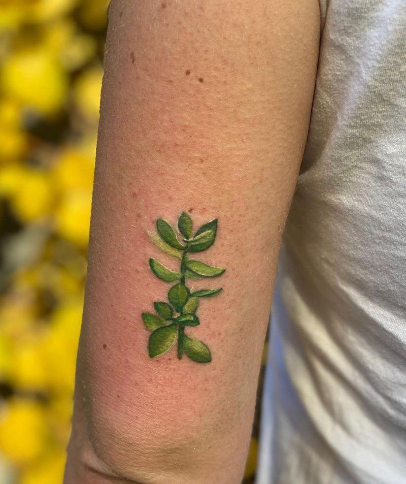 30 Pretty Succulent Tattoos Bring You Good Luck