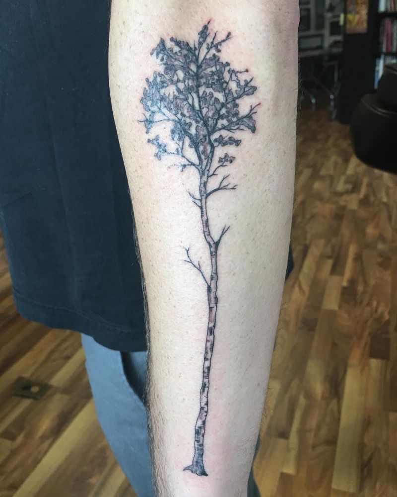 30 Pretty Birch Tree Tattoos Make You Attractive