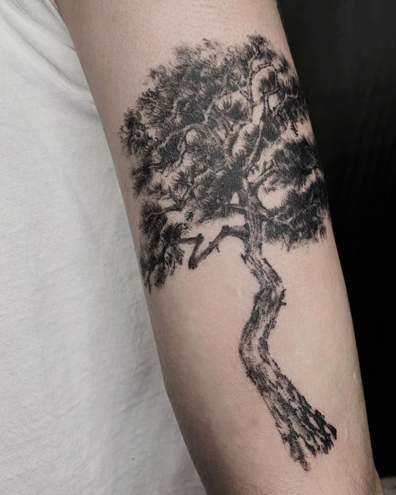 30 Pretty Pine Tree Tattoos You Will Love