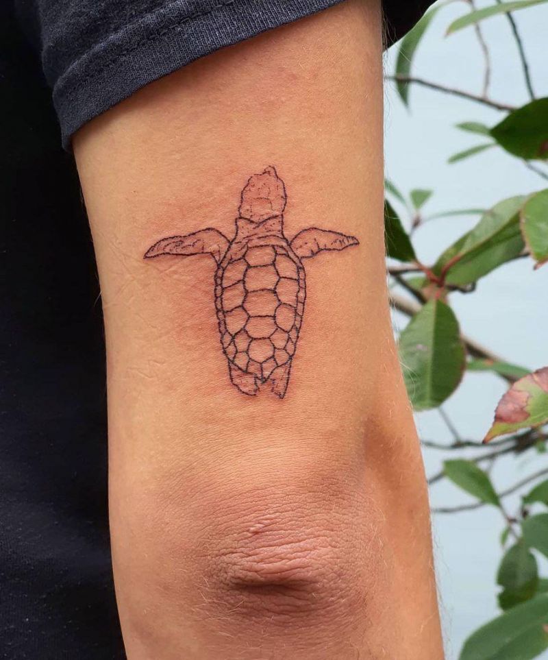 30 Pretty Turtle Tattoos You Must Try