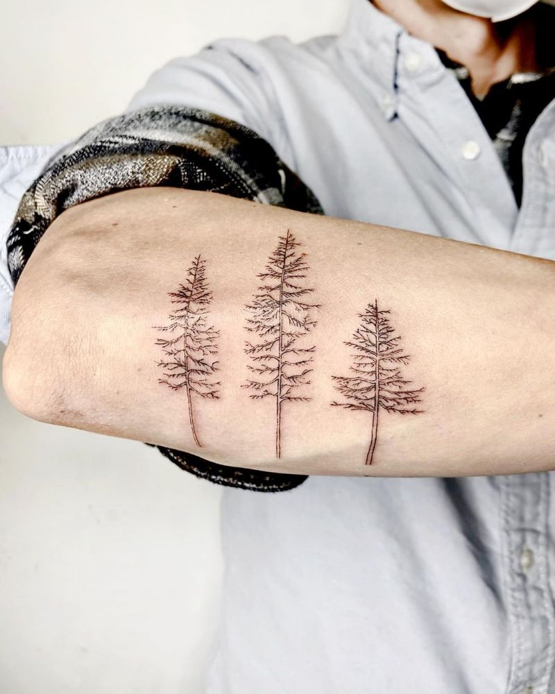 30 Pretty Pine Tree Tattoos You Will Love