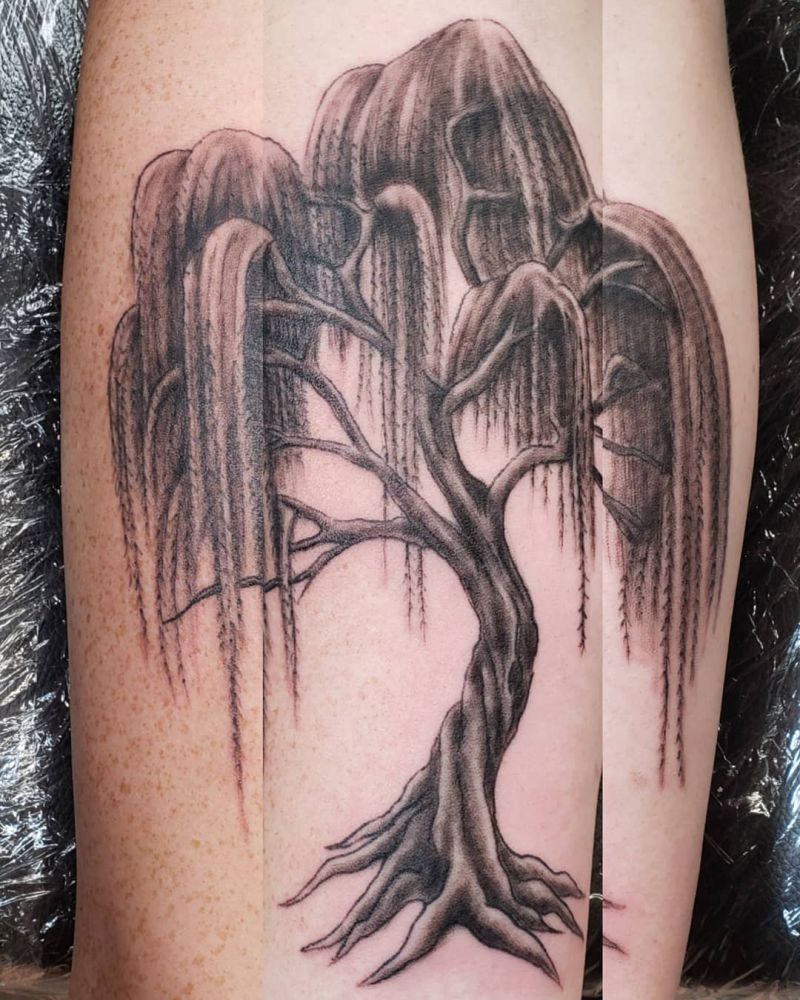 30 Pretty Weeping Willow Tattoos You Must Try