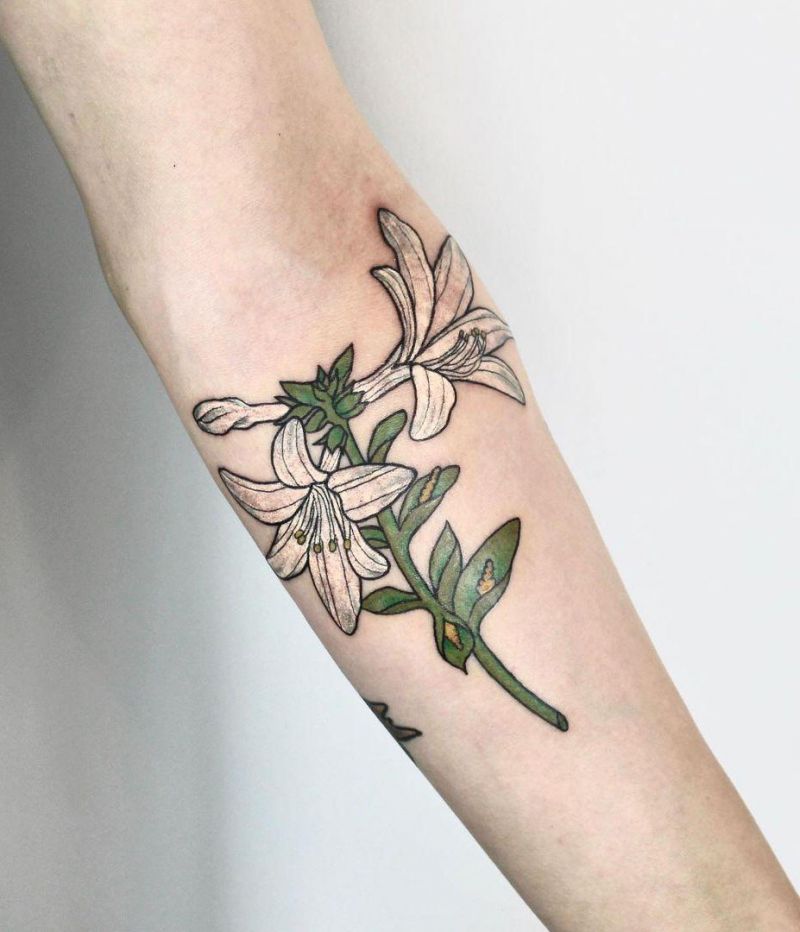 30 Pretty Daylily Tattoos Show Your Temperament