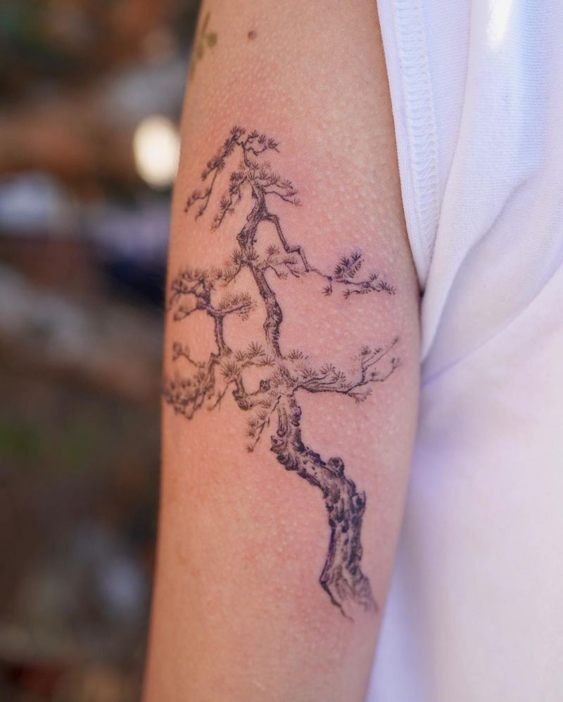 30 Pretty Pine Tree Tattoos You Will Love