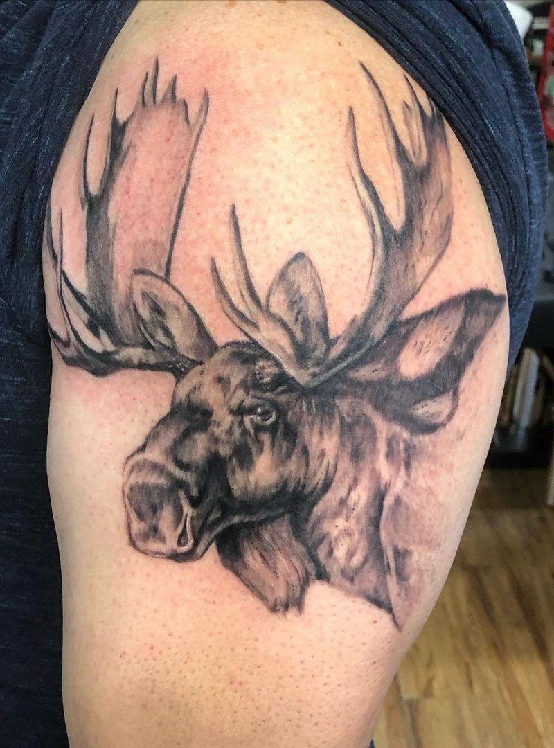 30 Pretty Moose Tattoos You Will Love