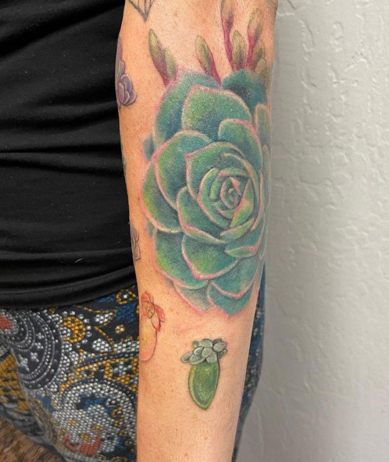 30 Pretty Succulent Tattoos Bring You Good Luck