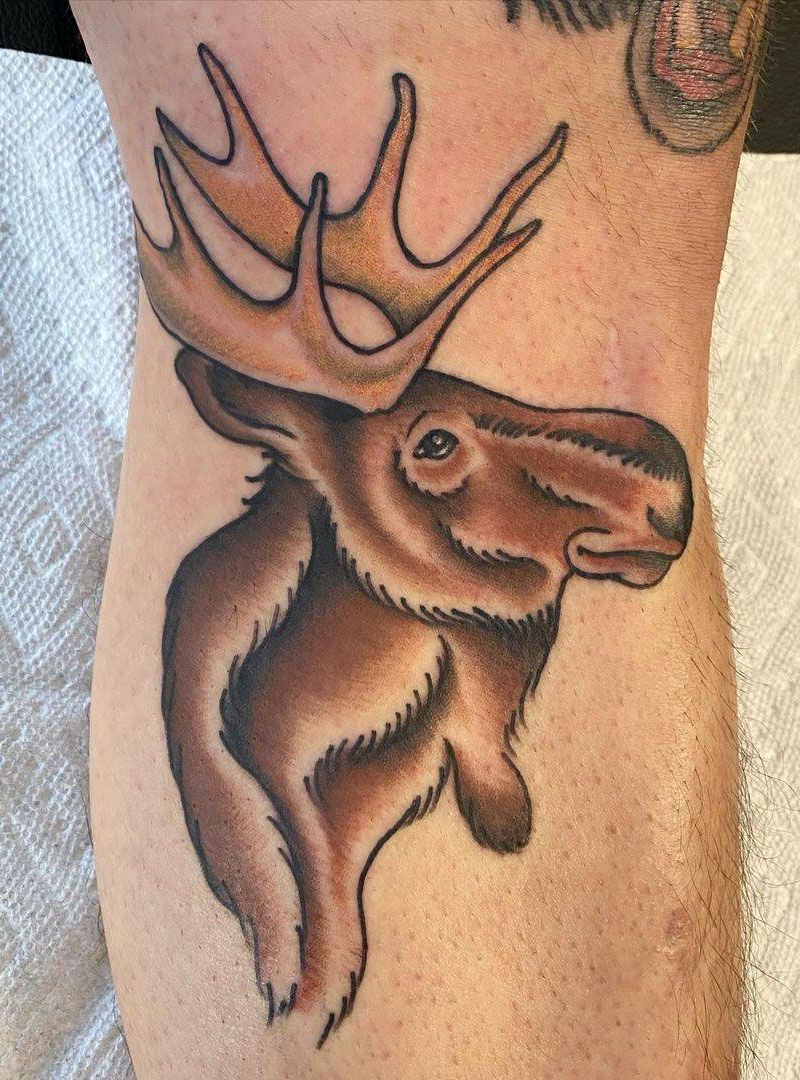 30 Pretty Moose Tattoos You Will Love