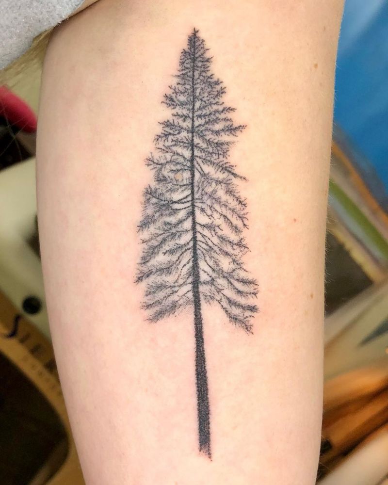 30 Pretty Pine Tree Tattoos You Will Love