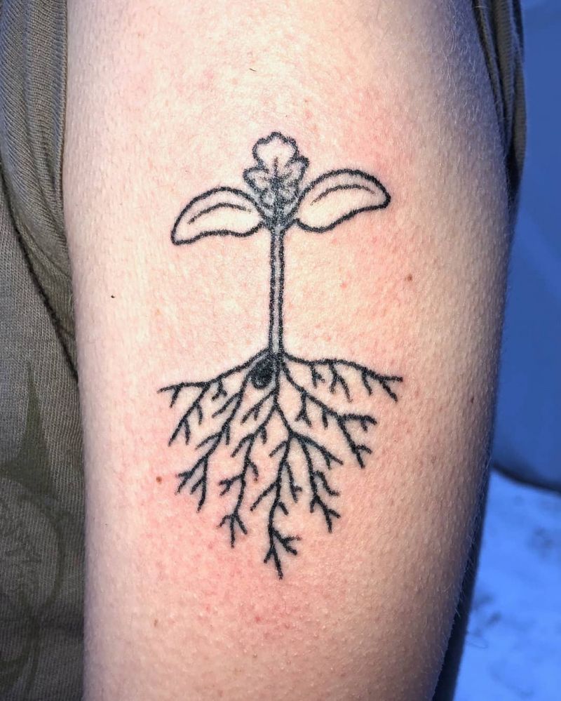 30 Pretty Seed Sprout Tattoos Bring You Good Luck