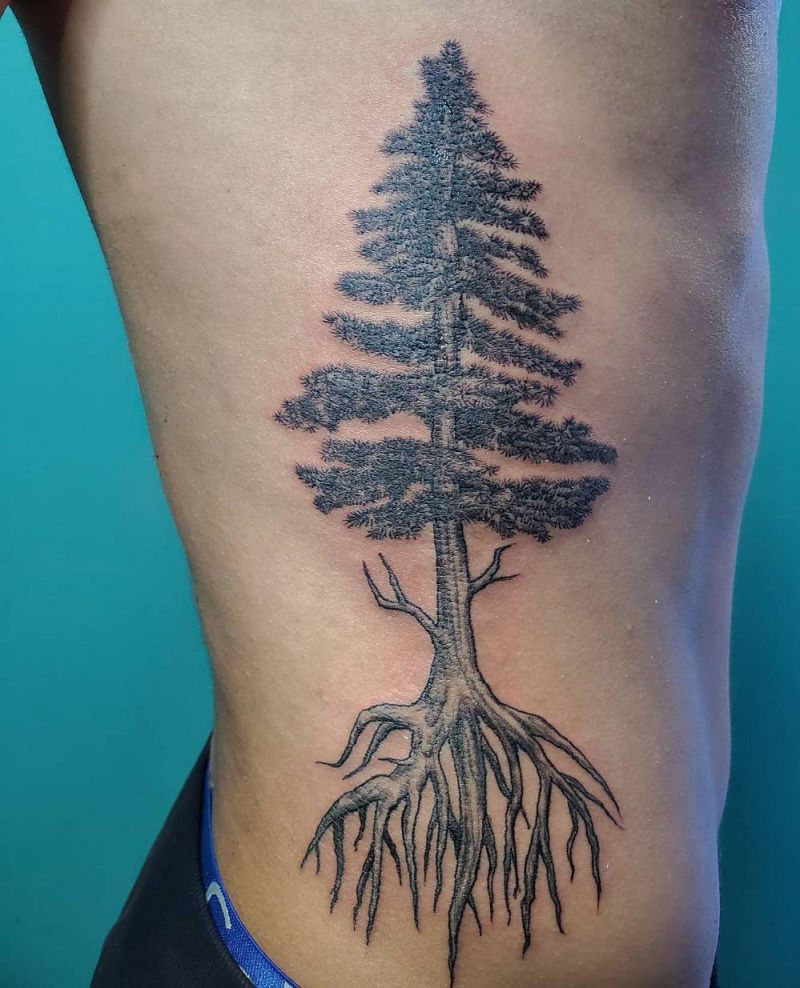 30 Pretty Pine Tree Tattoos You Will Love