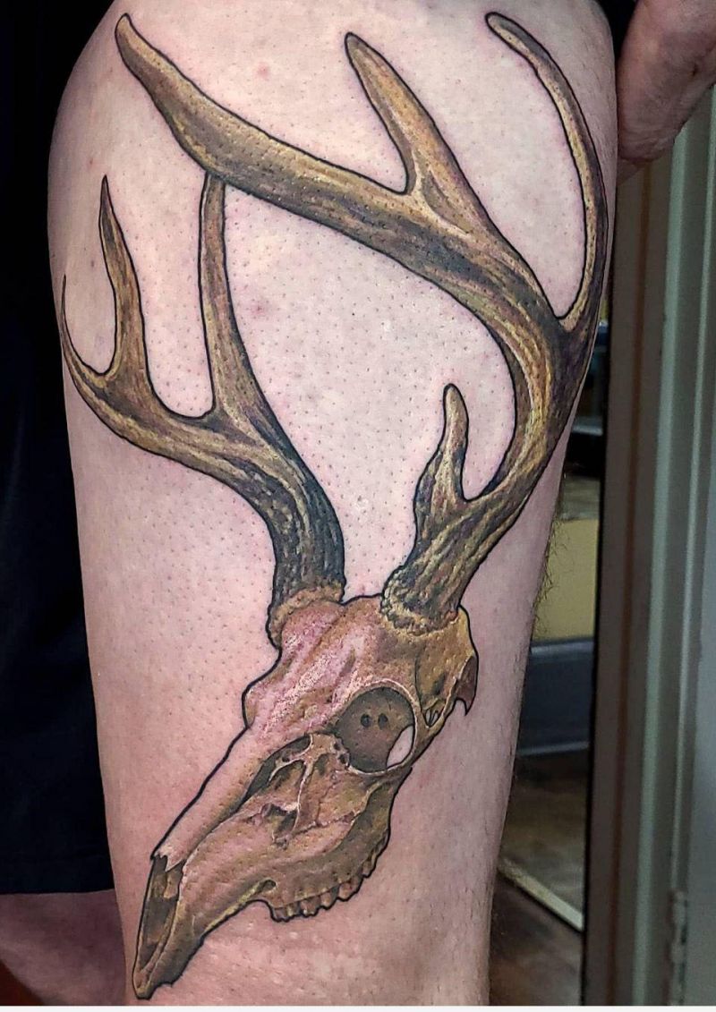 30 Pretty Deer Skull Tattoos Make You More Attractive