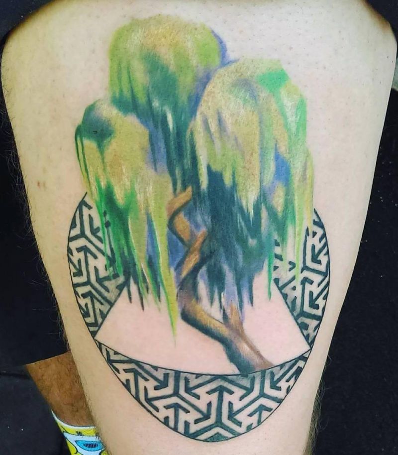 30 Pretty Weeping Willow Tattoos You Must Try