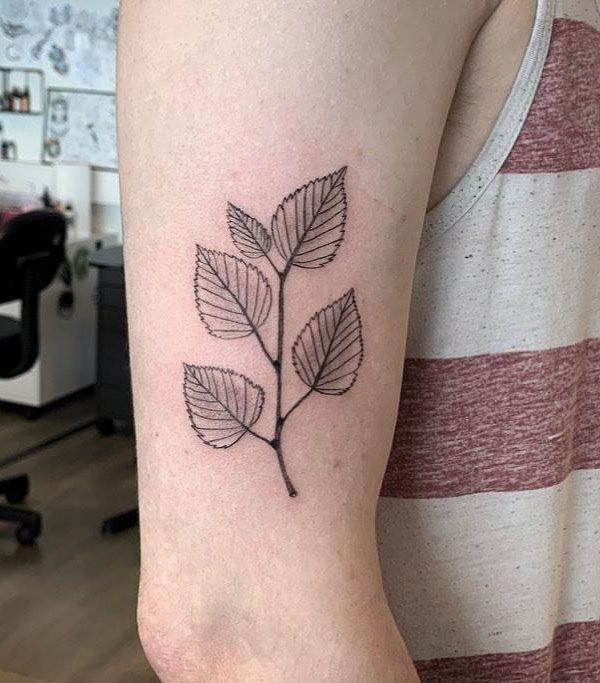 30 Pretty Birch Tree Tattoos Make You Attractive