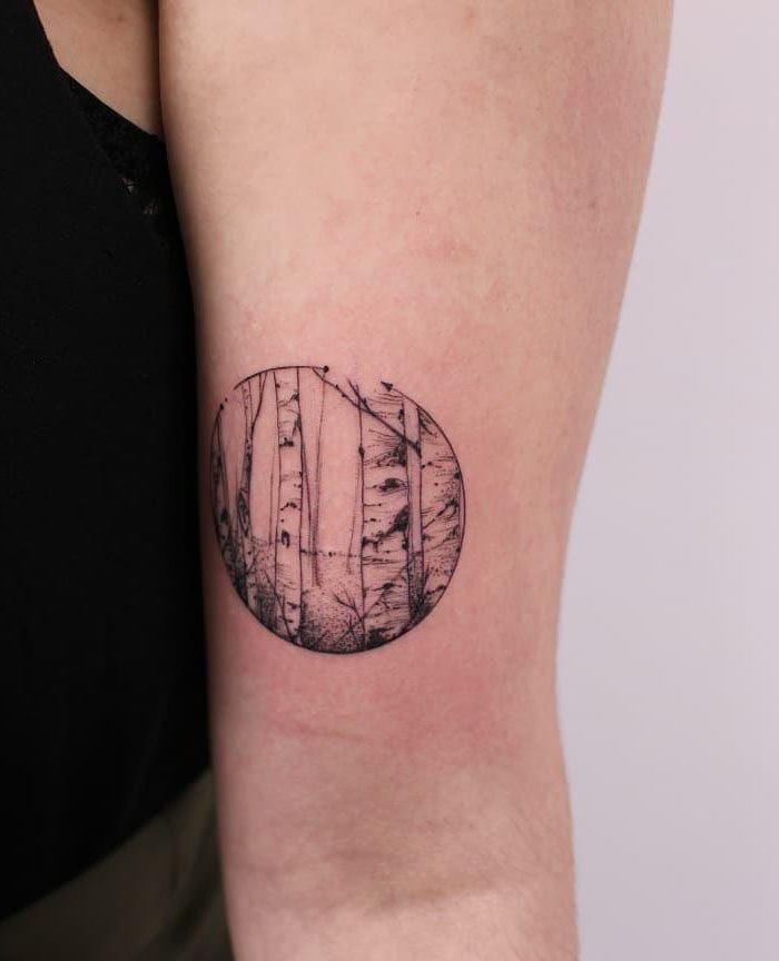 30 Pretty Birch Tree Tattoos Make You Attractive