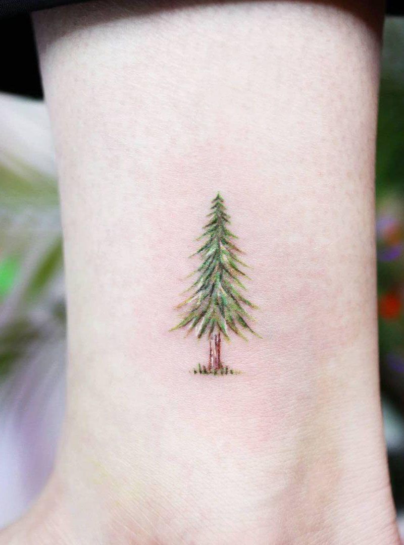 30 Pretty Pine Tree Tattoos You Will Love