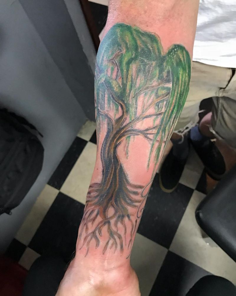 30 Pretty Weeping Willow Tattoos You Must Try