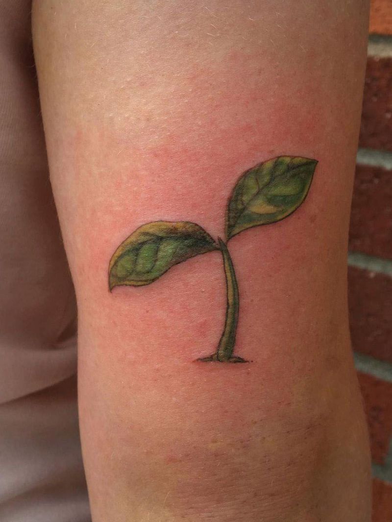 30 Pretty Seed Sprout Tattoos Bring You Good Luck