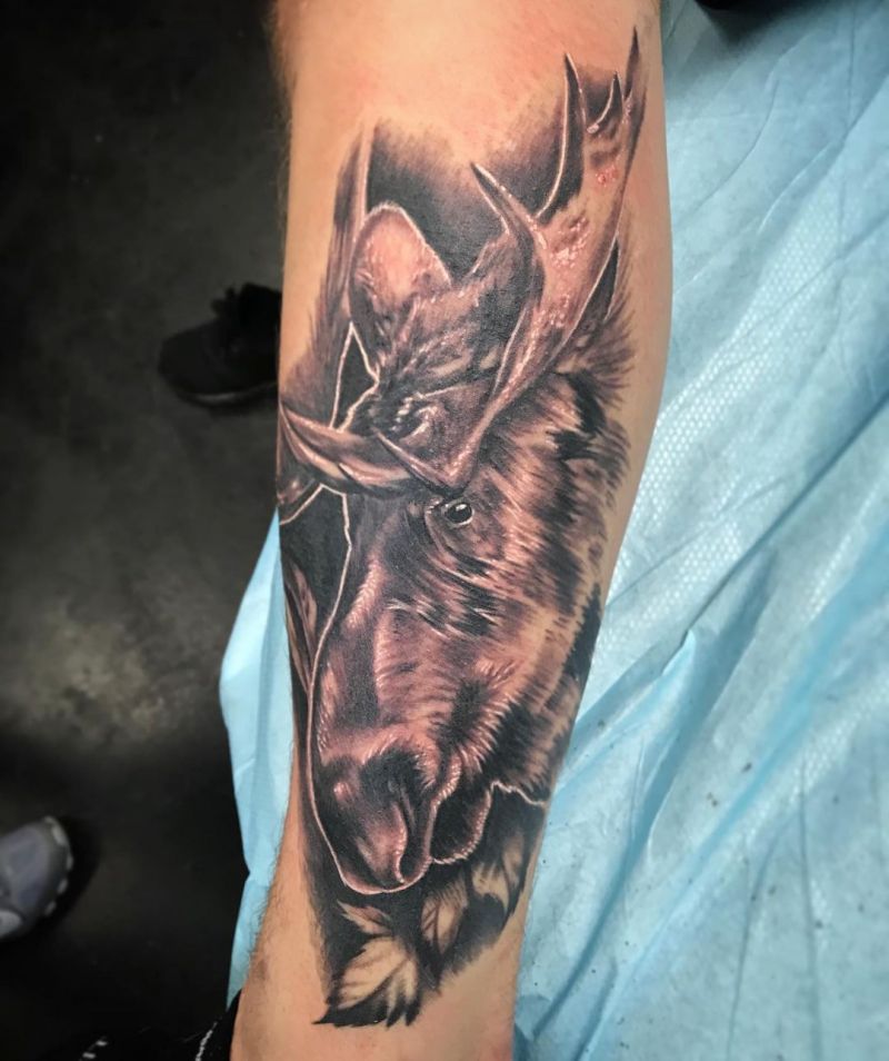 30 Pretty Moose Tattoos You Will Love