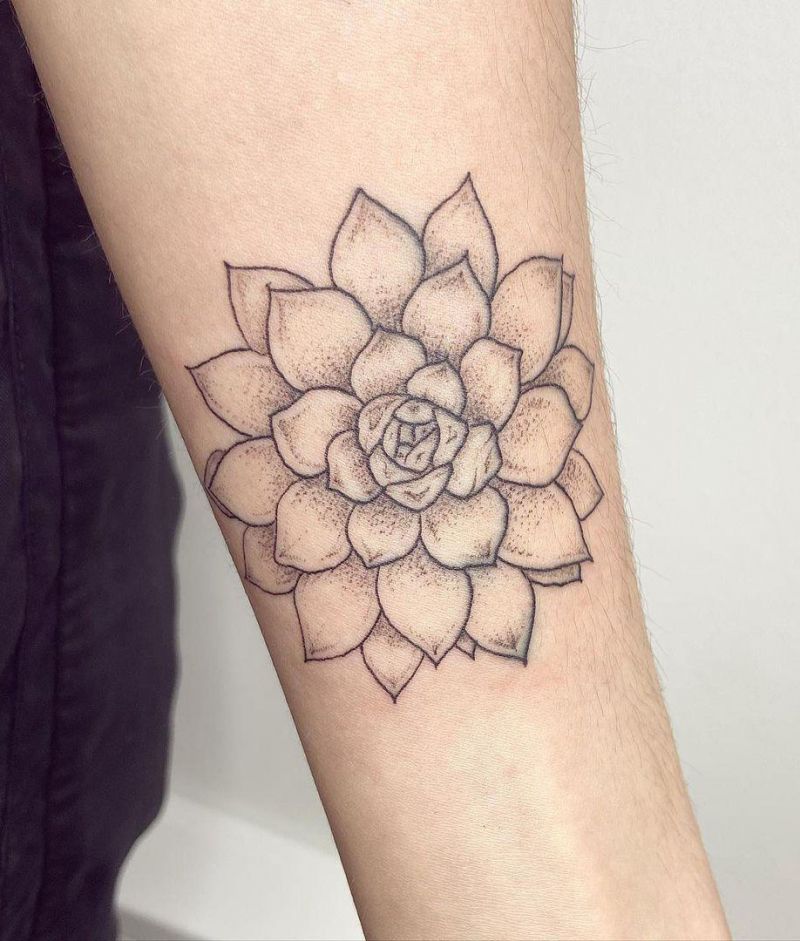 30 Pretty Succulent Tattoos Bring You Good Luck