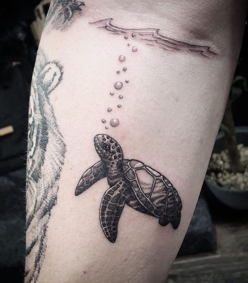 30 Pretty Turtle Tattoos You Must Try