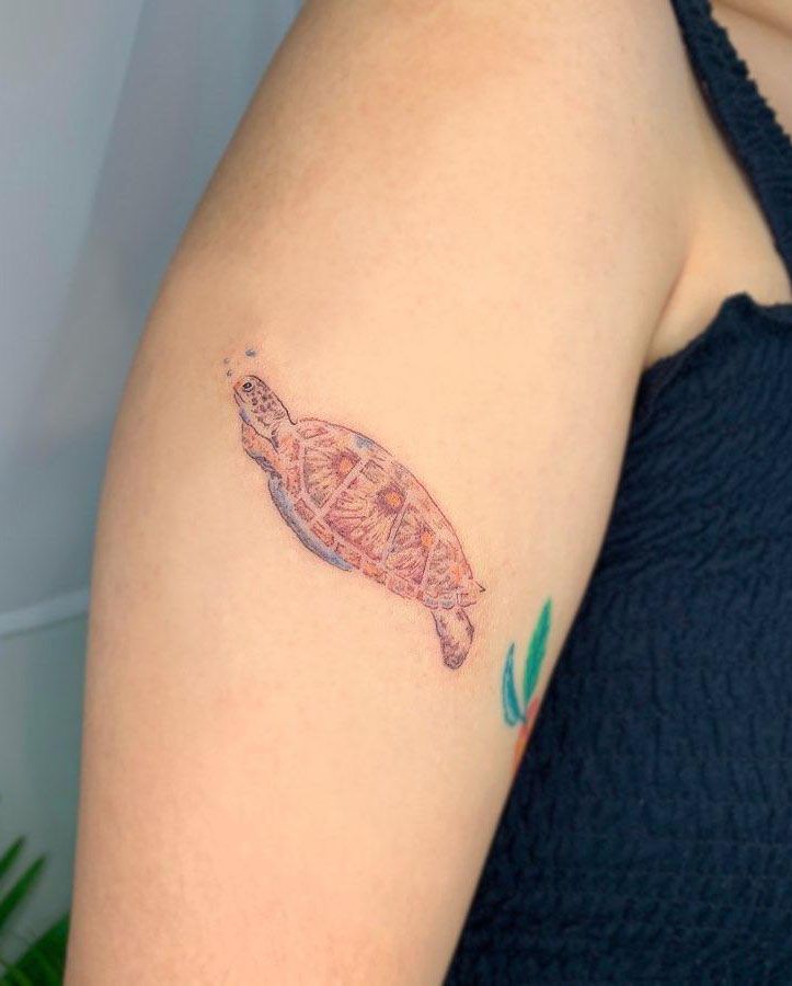 30 Pretty Turtle Tattoos You Must Try