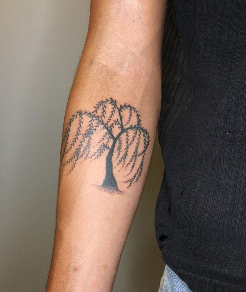 30 Pretty Weeping Willow Tattoos You Must Try